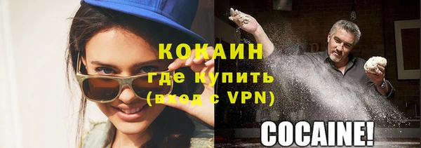 гидра Инсар