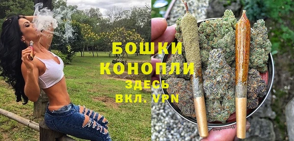 сатива Зерноград