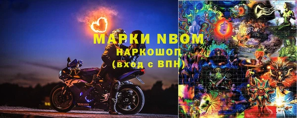 сатива Зерноград