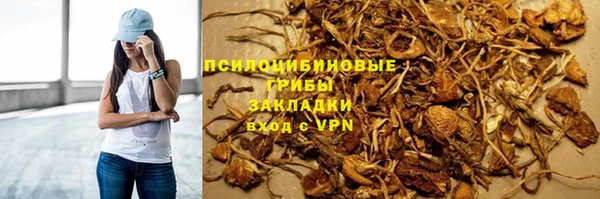 сатива Зерноград