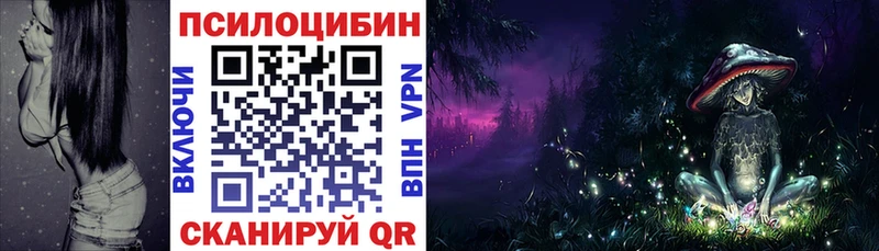 Купить закладки  Луховицы  Псилоцибиновые грибы Magic Shrooms 